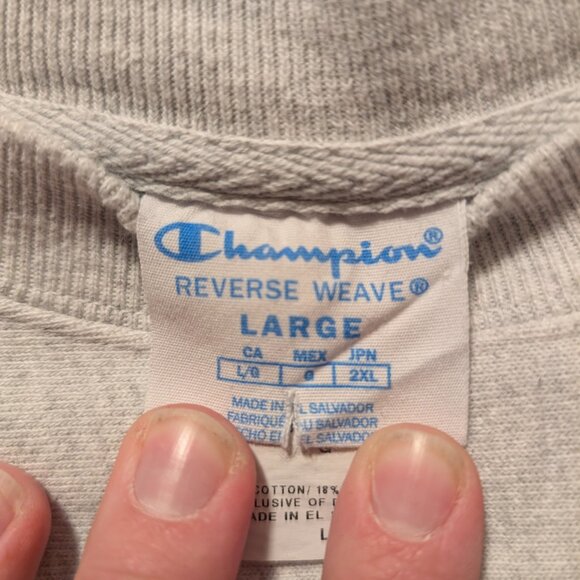 Champion Reverse Weave Mens Hoodie - Picture 2 of 3